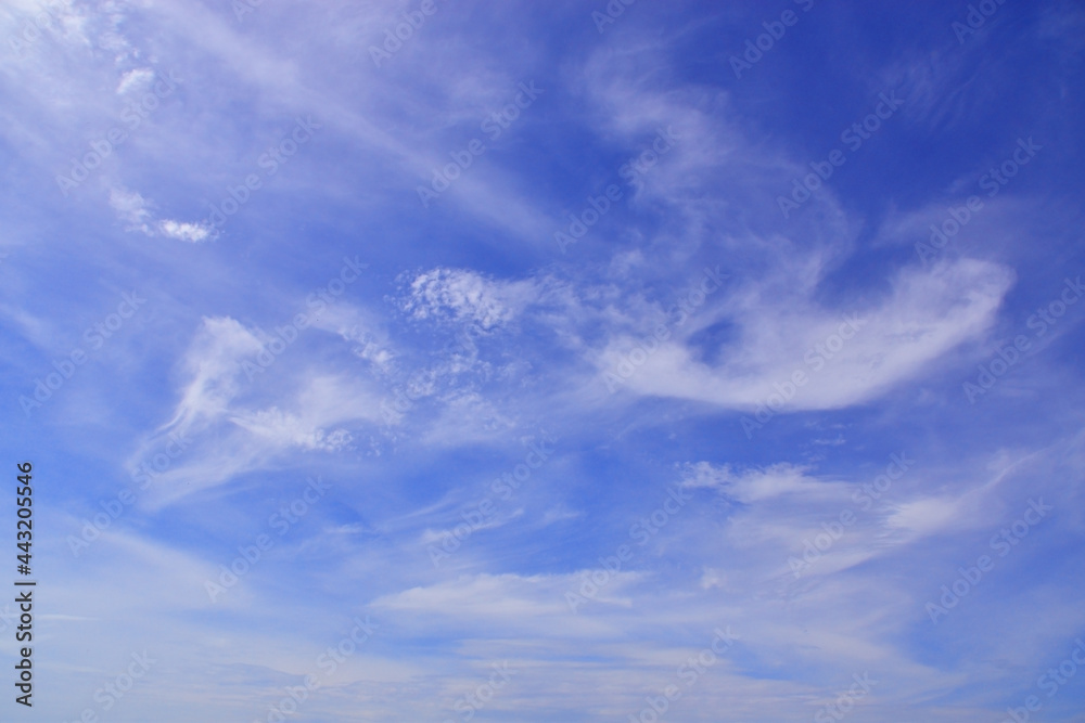 Fototapeta premium Light cirrus clouds in the blue sky