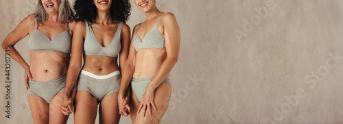 Картината върху платно Anonymous natural female bodies