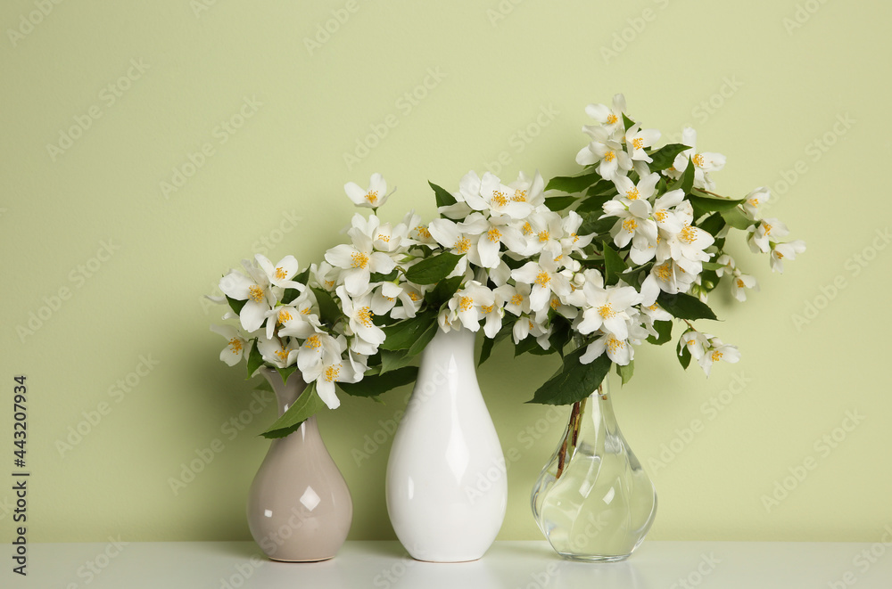 Beautiful jasmine flowers in vases on table near light green wall