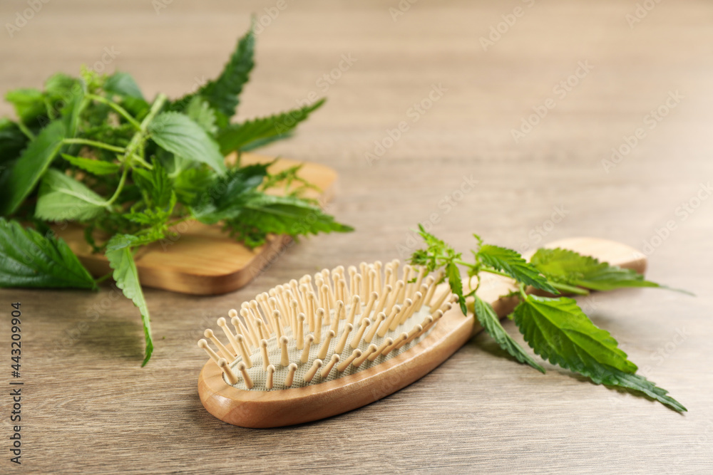 Stinging nettle and brush on wooden background. Natural hair care Stinging nettle and brush on wooden background. Natural hair care