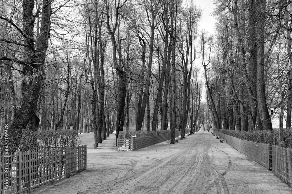 Parks in St. Petersburg, Russia.