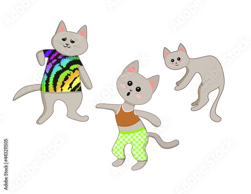 Three gray cats in clothes