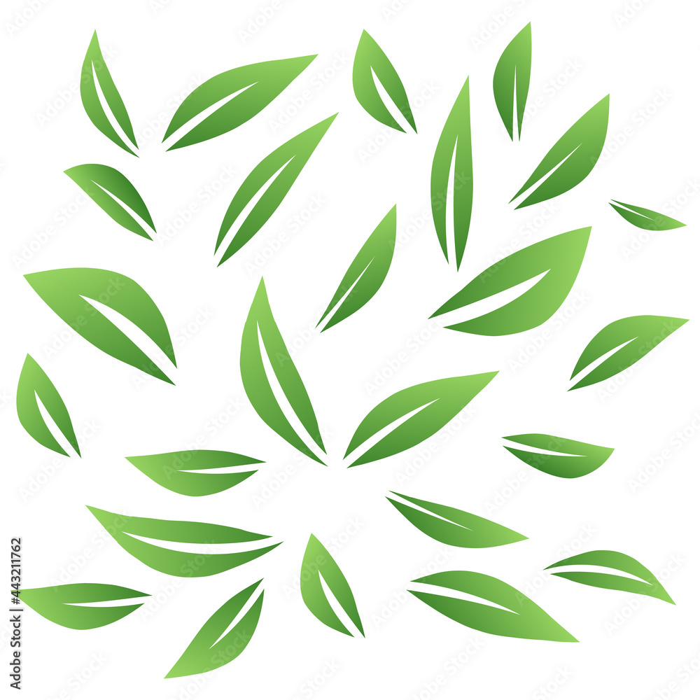 Green grass, small clump with big clumps on white  background  , Vector illustration EPS 10