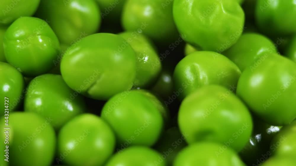 Close Up Green Peas Background Rotating. Macro Shot Fresh Organic Green Peas. Vegetable Harvest Healthy Eating. Beautiful Texture Close-up of Fresh Green Peas. Healthy Vegetarian food. Close Up Green Peas Background Rotating. Macro Shot Fresh Organic Green Peas. Vegetable Harvest Healthy Eating. Beautiful Texture Close-up of Fresh Green Peas. Healthy Vegetarian food.