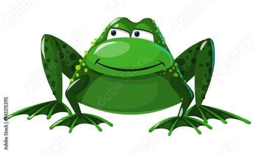 Frog in cartoon style isolated on white background. A big, funny animal sitting. 