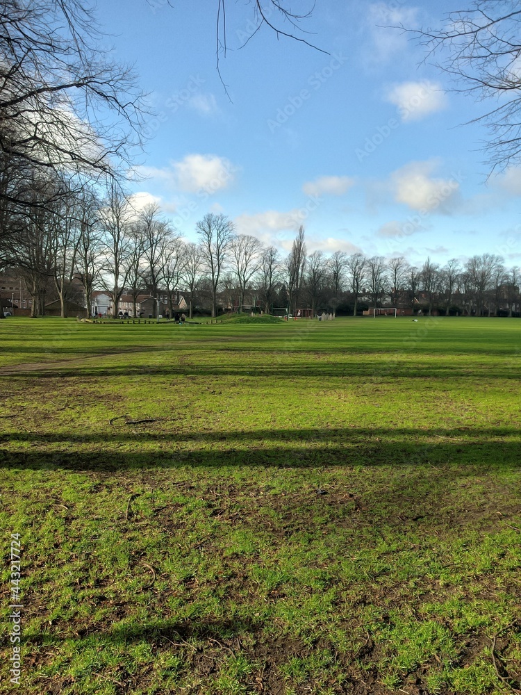 Fototapeta premium green field in spring