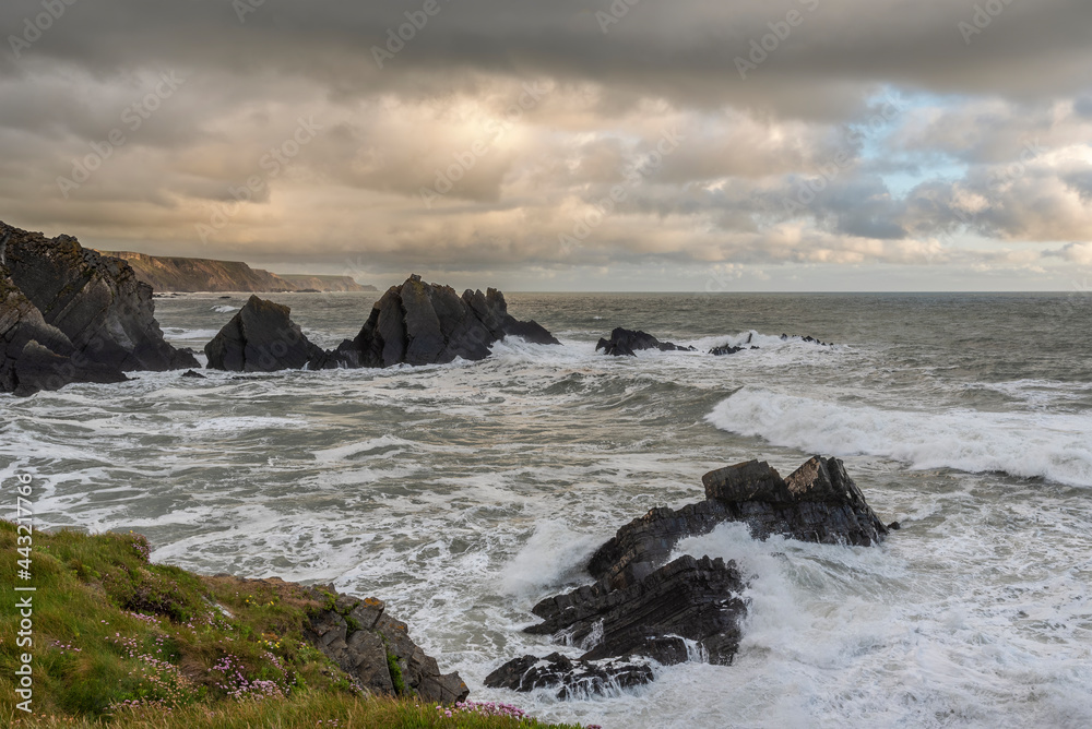 Stunning landscape image of view from Hartland Quay in Devon England durinbg moody Spring sunset