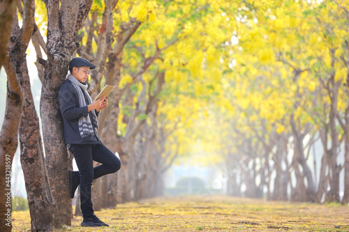 Asian man wearing sweater reading the book while leaning on the yellow leaves gingko tree in the park during autumn season © Akarawut