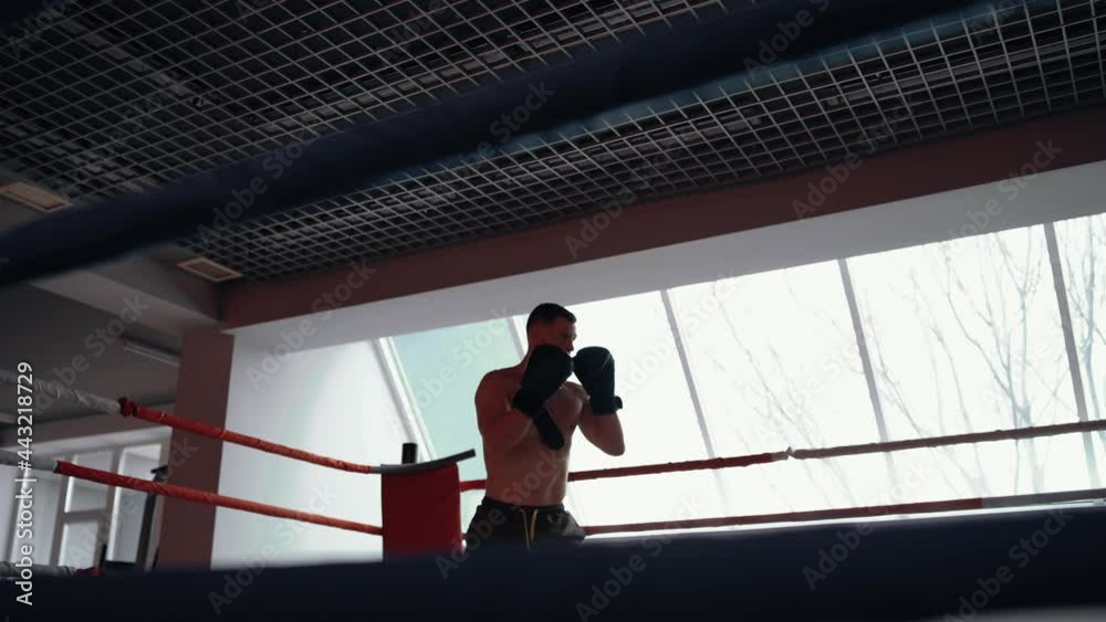 The young fighter, filmed from below the dance floor, performs rhythmic boxing movements with his fists. Intense masculine energy. Healthy lifestyle. Sport concept The young fighter, filmed from below the dance floor, performs rhythmic boxing movements with his fists. Intense masculine energy. Healthy lifestyle. Sport concept