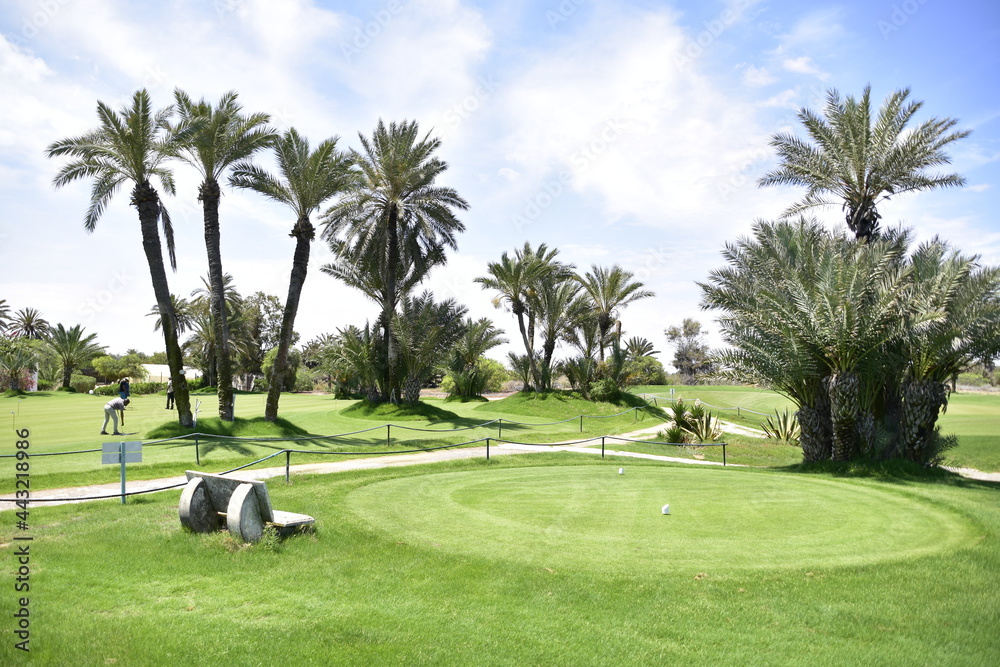 Djerba golf club, green, player