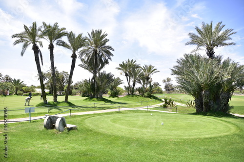 Obraz na płótnie Djerba golf club, green, player w salonie