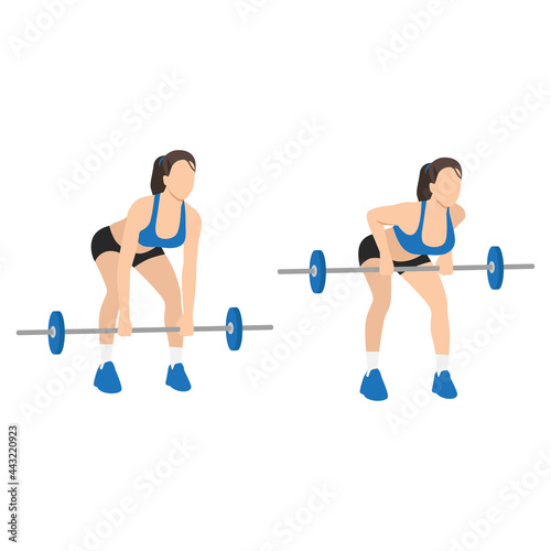 Woman doing Bent over barbell rows exercise. Flat vector illustration isolated on white background
