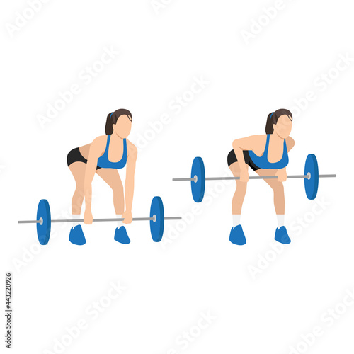 Woman doing Bent over barbell row from floor exercise. Flat vector illustration isolated on white background