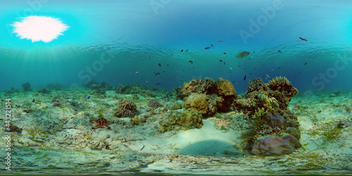 Fototapeta Naklejka Na Ścianę i Meble -  Marine scuba diving. Underwater colorful tropical coral reef seascape. Philippines. 360 panorama VR