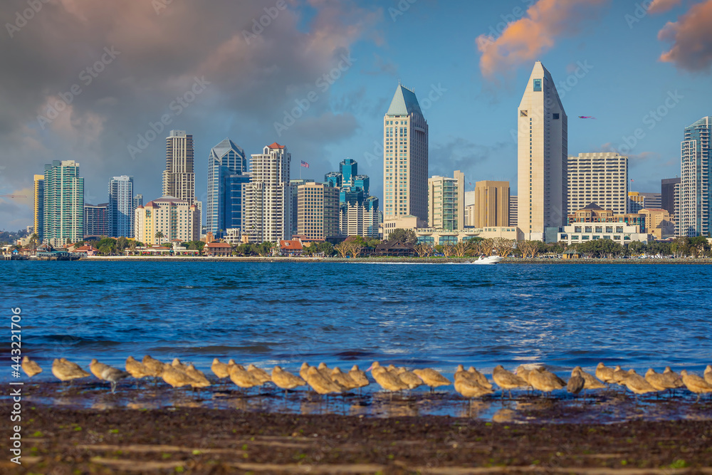 Naklejka premium Downtown San Diego city skyline cityscape of USA