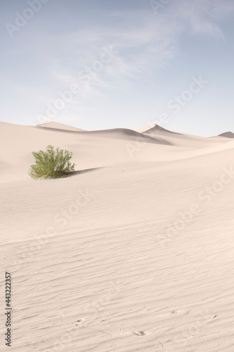 view of nice sands dunes at Sands Dunes National Park