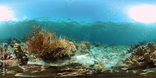 Tropical coral reef seascape with fishes, hard and soft corals. Philippines. 360 panorama VR