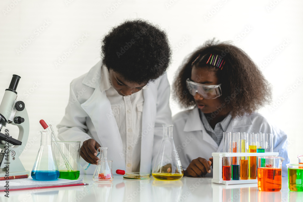 Two african american cute little boy and girl student child learning research and doing a chemical experiment while making analyzing and mixing liquid in test tube at science class in school Two african american cute little boy and girl student child learning research and doing a chemical experiment while making analyzing and mixing liquid in test tube at science class in school