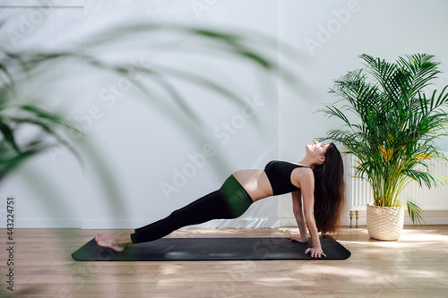 Side view on a pregnant woman practicing yoga alone  doing reverse plank