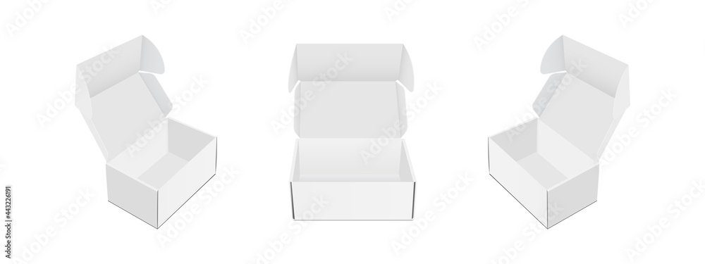 Rectangular Paper Box with Front and Side Views, Opened Lid, Isolated on White Background. Vector Illustration