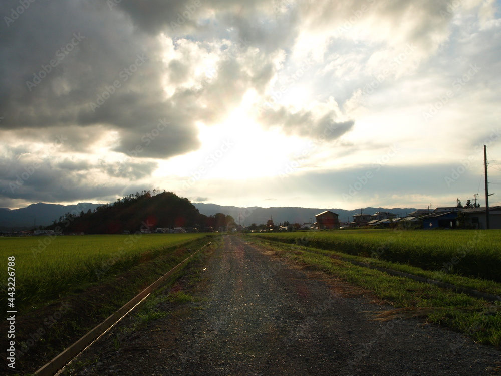 田舎道　Japanese country road