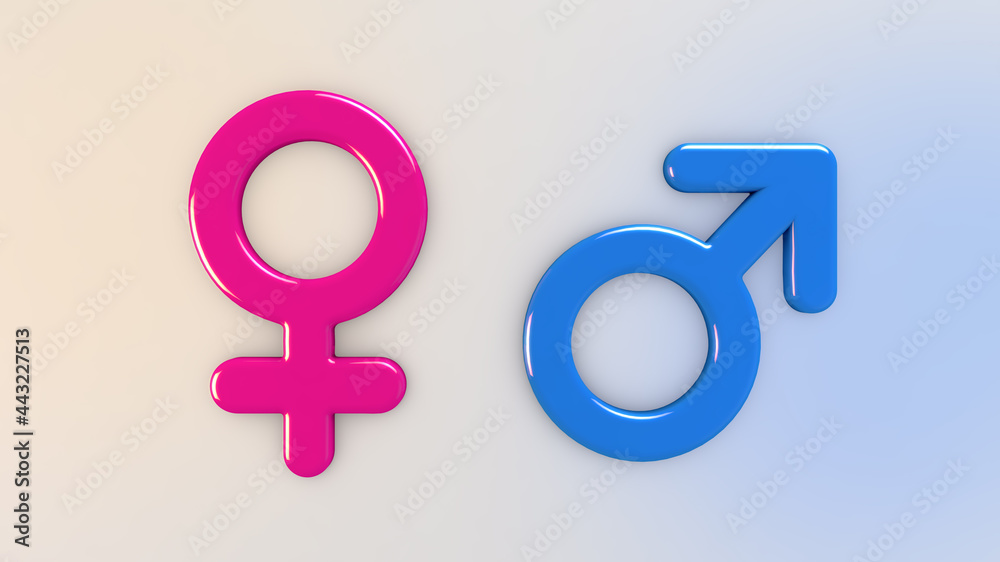 Male female gender symbol in pink and blue Male female gender symbol in pink and blue