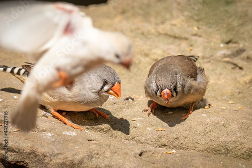 Futterzeit.. | ..Mealtime