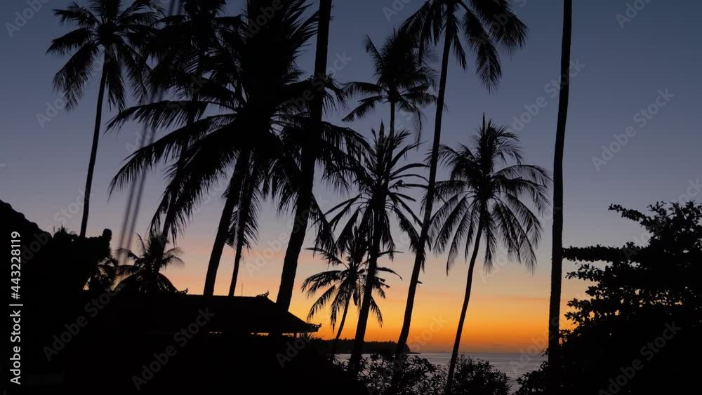 Sunset, silhouette of palm trees. Travel concept, palm trees on the background of the sea at sunset time. Sunset on the ocean coast, mountains, sea, beach, sky, clouds Bali, Indonesia. Sunset, silhouette of palm trees. Travel concept, palm trees on the background of the sea at sunset time. Sunset on the ocean coast, mountains, sea, beach, sky, clouds Bali, Indonesia.