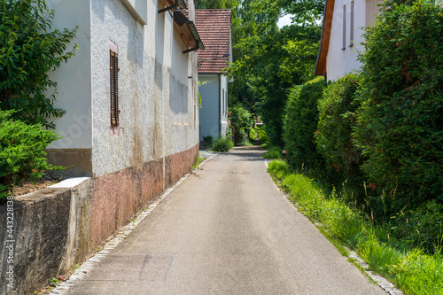 Fototapeta Naklejka Na Ścianę i Meble -  Bei Heitersheim -Staufen im Sommer