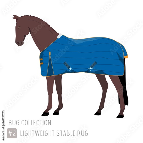 Lightweight Stable Rug on Bay Horse