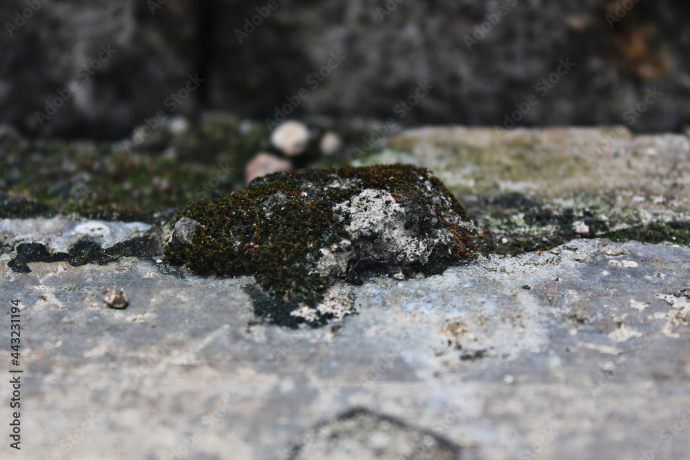 A small mountain formed from cement flakes. A small mountain formed from cement flakes.