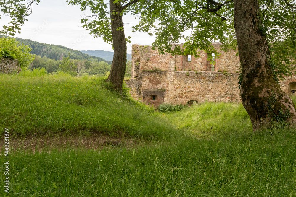 Dans les ruines du château