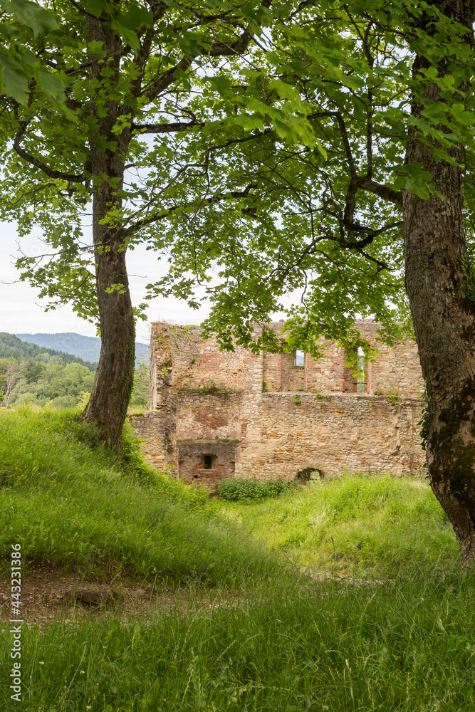 Dans les ruines du château