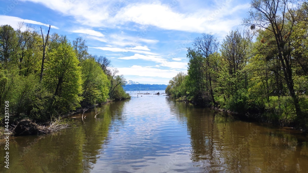 Fototapeta premium View of lake Constance from Argen river