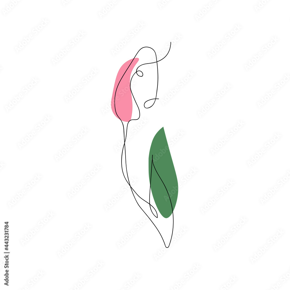 Tulip Tulip