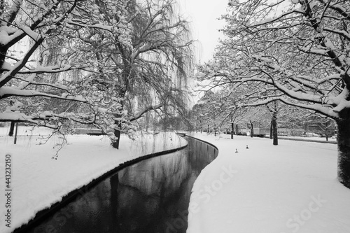 The Englischer Garten, Munich