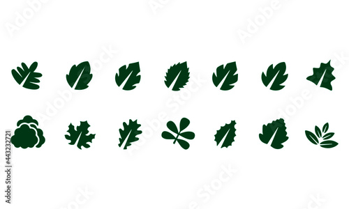  leaf icons set vector design 
