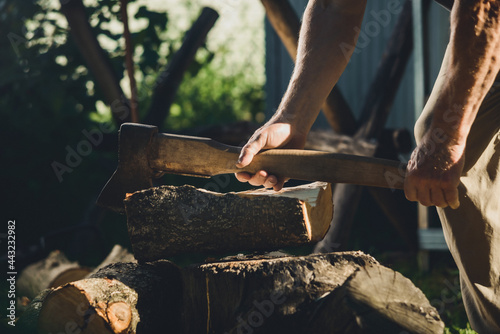Wallpaper Mural 
chopping wood Torontodigital.ca