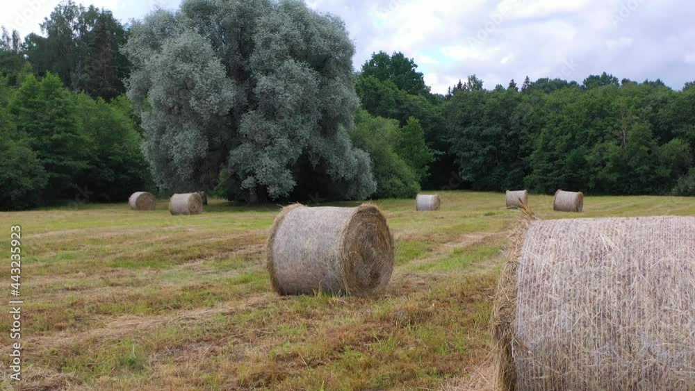 Flying over hay rolls with green, lush forest in background Flying over hay rolls with green, lush forest in background