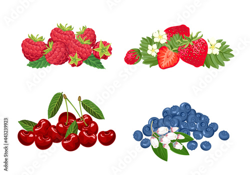 Heaps of wild berries set. Vector illustration of strawberry, blueberry, raspberry and cherry. Healthy organic food in cartoon flat style.