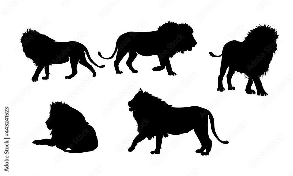 Obraz premium Lion Silhouettes