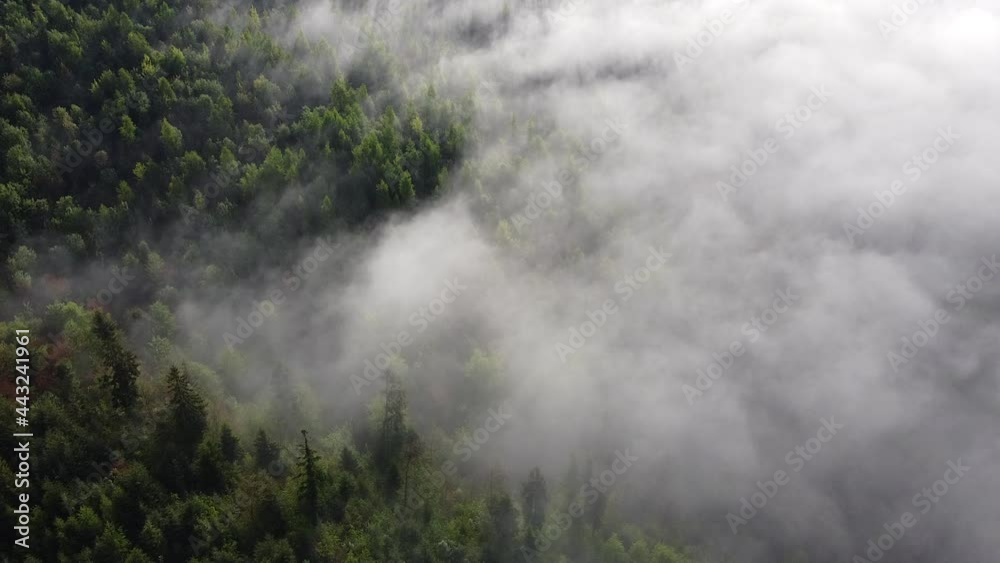 fog in the mountains, view from a drone fog in the mountains, view from a drone