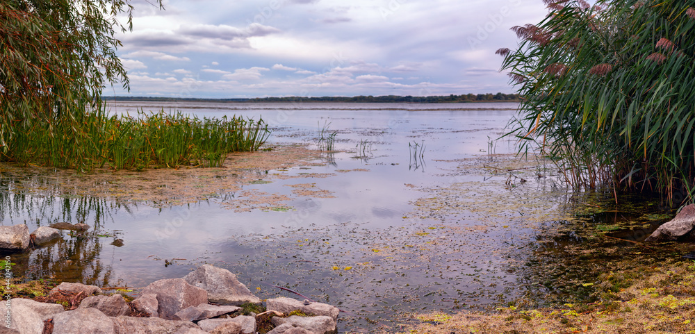 Lake Tisza landscape Hungary