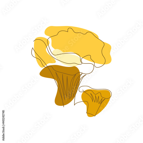 contour two chanterelle mushrooms are drawn by one line on a background of orange abstract spots on a white background