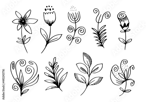 a collection of hand-drawn flower images such as bellflower, chrysanthemums, sunflowers, cotton flowers, and tropical leaves