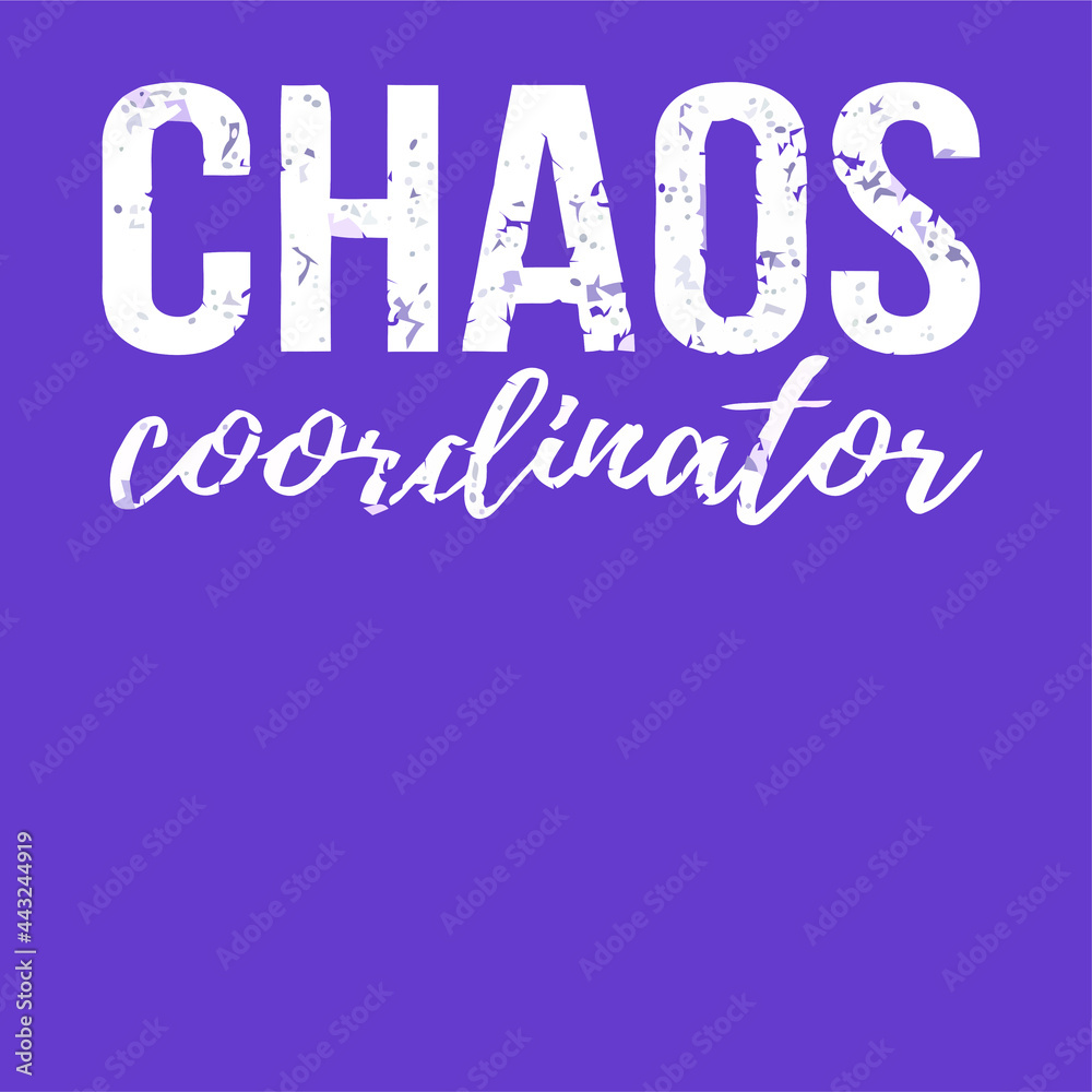 chaos coordinator teacher preschool teacher wo artvintage sport design vector illustration for use in design and print poster canvas