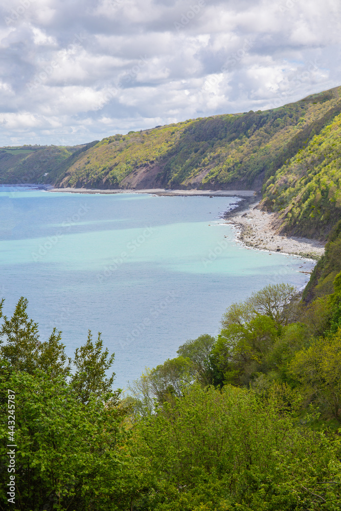 View of Clovelly and the calm bay water View of Clovelly and the calm bay water