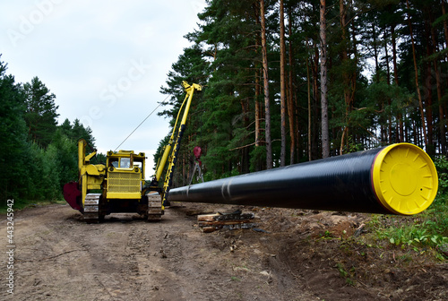 Natural Gas Pipeline Construction. Laying oil pipe in a trench in the ground. Petrochemical industry concept. Refining crude oil
