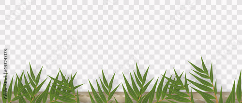 Happy Sukkot. Decorations for the Jewish holiday of tabernacles with etrog, lulav, arava, hadas. Vector illustration