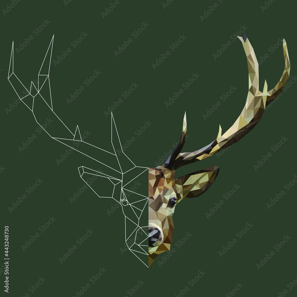 Polygonal deer head. Deer. Low poly animal. Geometric deer. Linear Deer. Half linear half polygonal animal. Stock Vector | Adobe Stock Polygonal deer head. Deer. Low poly animal. Geometric deer. Linear Deer. Half linear half polygonal animal. Stock Vector | Adobe Stock